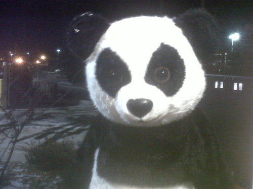 zekey555's profile picture. 