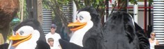 orpy44 Profile Picture