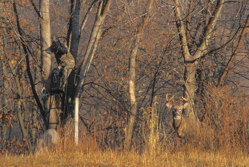 Just an avid deer hunter with lots of problems to tweet about.