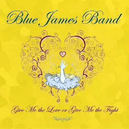 The Blue James Band is a rock, reggae, folk, and funk train riding through the world of music.