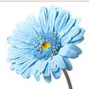 Beverly Millard - @bmilly09 - Twitter