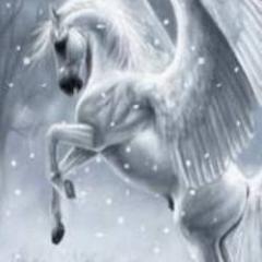 Love dogs, horses, drawing, painting, rock/metal music, guitars, building websites & Freedom of Speech