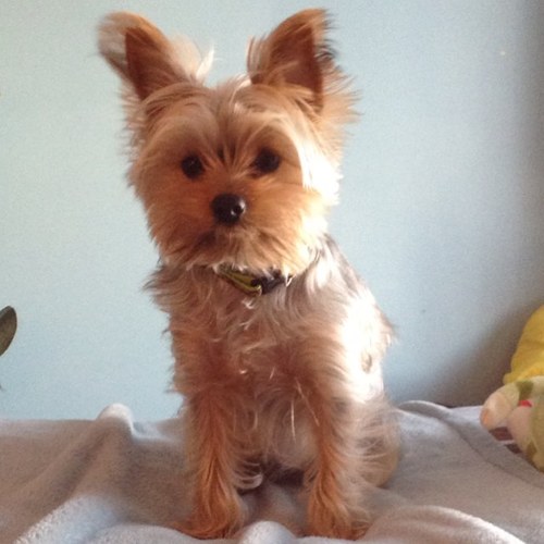 dawnmarie36's profile picture. looking to be inspired