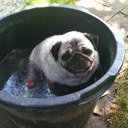 Wilma Schulz - @saskialena - Twitter