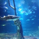 Michael Bergmann - @BergmannLi - Twitter