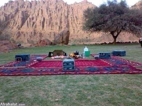 Saod123474's profile picture. 