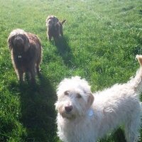 Crumblina (@angelawarb77) 's Twitter Profile
