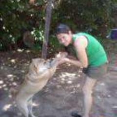 CACOM22's profile picture. 