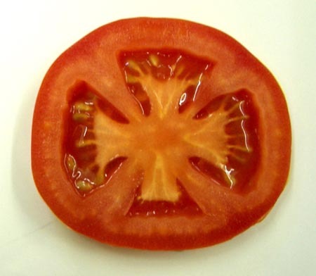 Magazine voor tomatenveredelaars, -kwekers en -handelaars. Uw nieuws op onze website? Mail naar tomaatmagazine@gmail.com!