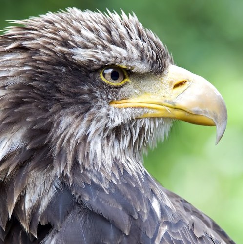 tc_storm's profile picture. photographer, liverpool fc fan, father, son, traveller,