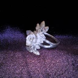 Passionate silver accessory designer,Translator, Hobby： glass painting, Politically liberated, Spiritually Bohemian .