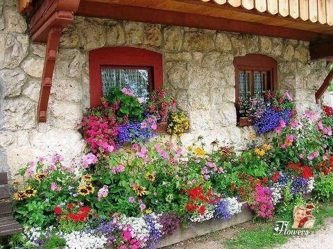 rade34018's profile picture. 