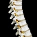 Main St Chiropractic (@mainstreetchiro) Twitter profile photo Main St Chiropractic (@mainstreetchiro) Twitter profile photo