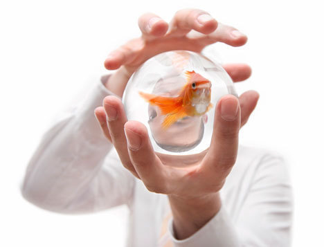 SulimaSylwia's profile picture. 