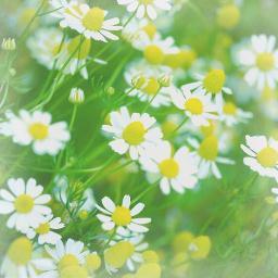 xnaud11's profile picture. 송하아빠면서 현숙이꺼예요~~!