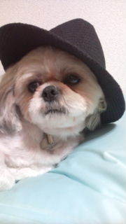 5124ringo's profile picture. いつもぐーたらのびのびしてます♪気軽に話しかけてください★フォローよろしくお願いしますm(_ _)m(リフォローします)