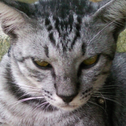 DreamTowardEnd's profile picture. I am who I am, nothing more nothing less.