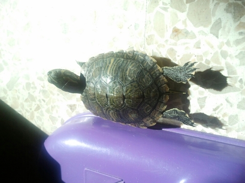 bleagima's profile picture. 