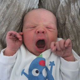 WayneClemens's profile picture. 