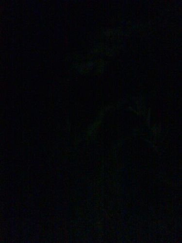 untrimfletch's profile picture. 