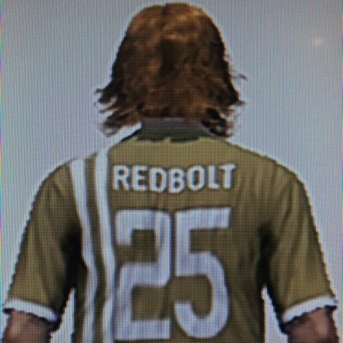 REALRedBolt Profile Picture