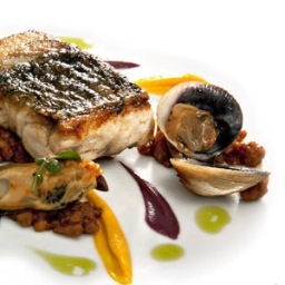 TerraraHouse's profile picture. Terrara House Estate & Jaspers Berry