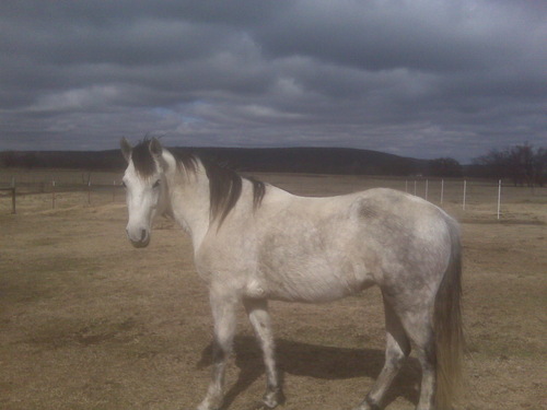 fph57's profile picture. mother, grandmother, great grandmother.  I don’t agree with ANYKIND OF hater. no matter your reasons