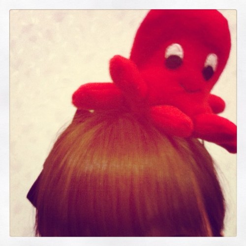 むし🐙タコ川柳更新中断さんのプロフィール画像