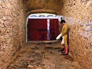 vengaelarte's profile picture. 