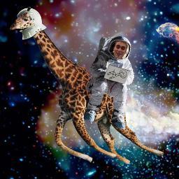 Writer, Blogger, Columnist, Giraffe, In Space