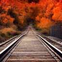 Steve Chester - @Nascar_fan_1 - Twitter