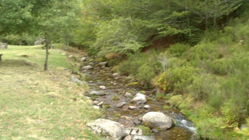 QuinoOnik's profile picture. aspirante a dominar el arte de vivir bien