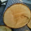 Suh nelson - @nelson_suh - Twitter