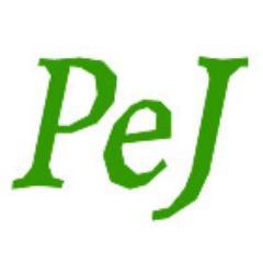 Alquiler de pistas e instalaciones deportivas. Campos de fútbol sala, fútbol 11 y fútbol 7. Pistas de padel, tenis, squash, frontón, voleibol, baloncesto, etc.