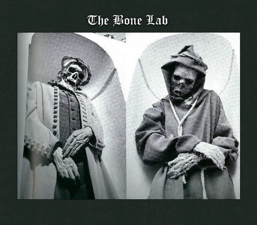 TheBoneLab's profile picture. Funk Hop. Seriously Funky Hand Made in Sheffield