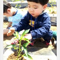 qogustlf12 (@qogustlf12) 's Twitter Profile