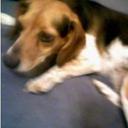 teresa rich - @rich_teresa - Twitter