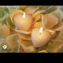 حمامة سلام (@00oo44) Twitter