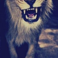 Rajaee hammad (@rajaee4) 's Twitter Profile