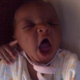 A father, brother and believer in the second coming of christ.