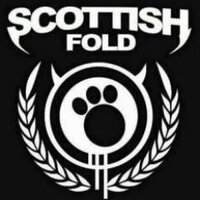 Scottishfold co (@foldscottish) 's Twitter Profile