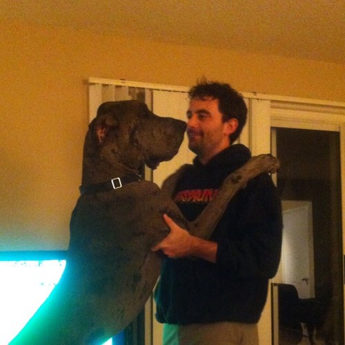 Grahamanga's profile picture. 