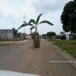 Sólo sé q hay q estar vigilante en la VICTORIA
