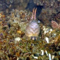 Dustin Herlich (@dherlich) 's Twitter Profile