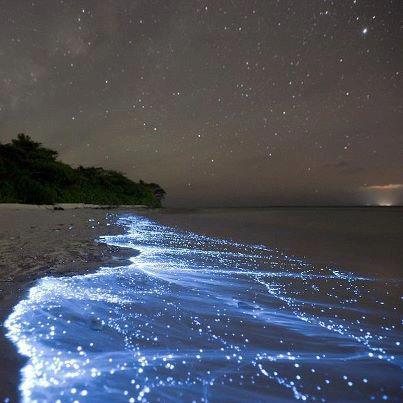 manwinder_kaur's profile picture. 