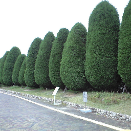 hiro_papa0's profile picture. 20Cの生化学からフュージョン生命科学21C に来ました。
宜しくお願いします。