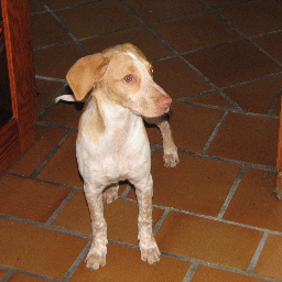 LuisSalmoral's profile picture. 