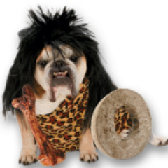 CoventryAH's profile picture. Post images here to enter our Halloween pet costume contest! Entries will be accepted until Oct 31st