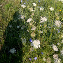 Deb Phillips - @lemme_deb - Twitter