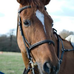 mattjames212's profile picture. 